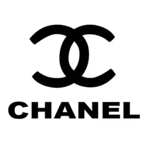 fake chanel shoes